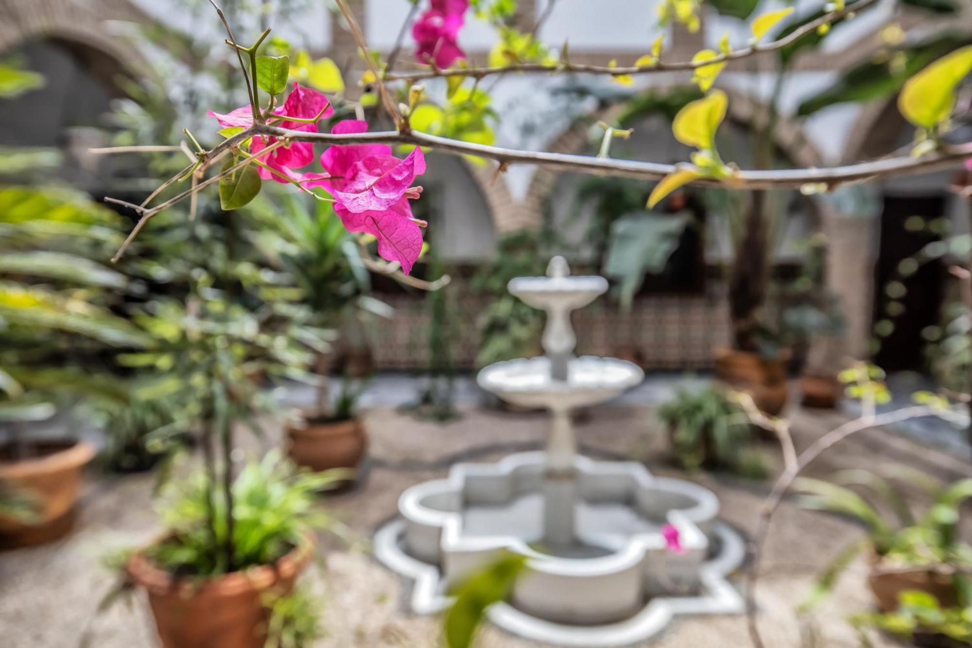 Casa Con Patio Maria Auxiliadora Apartment กอร์โดบา ภายนอก รูปภาพ